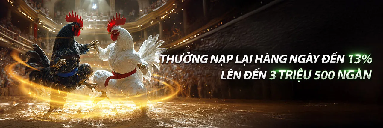 Chương trình VIP VN8 App 2026 với ưu đãi độc quyền