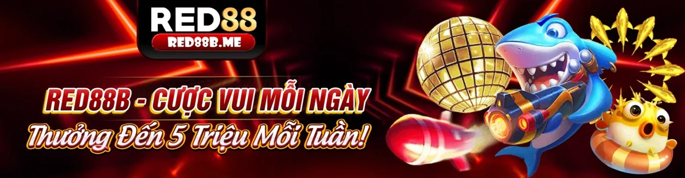 Hình ảnh chủ đạo về bảo mật và quyền riêng tư của VN8 App